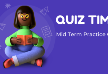 CS609 Midterm Past Paper online Practice Quiz midterm past paper quiz